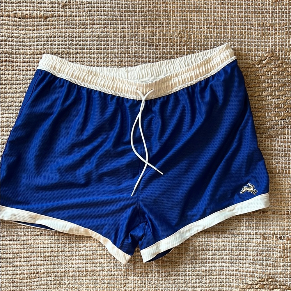 Tracksmith Blue and White Athletic Shorts (L)